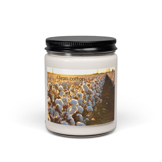 Clean Cotton Scented Candle