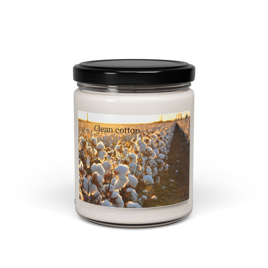 Clean Cotton Scented Candle